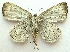  ( - BIOUG00850-C03)  @13 [ ] CreativeCommons - Attribution Non-Commercial No Derivatives (2011) Unspecified Unspecified
