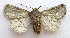  ( - BIOUG00850-C06)  @13 [ ] CreativeCommons - Attribution Non-Commercial No Derivatives (2011) Unspecified Unspecified