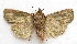  ( - BIOUG00850-D06)  @13 [ ] CreativeCommons - Attribution Non-Commercial No Derivatives (2011) Unspecified Unspecified