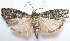  ( - BIOUG00850-F07)  @14 [ ] CreativeCommons - Attribution Non-Commercial No Derivatives (2011) Unspecified Unspecified