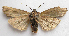  ( - BIOUG00850-F12)  @14 [ ] CreativeCommons - Attribution Non-Commercial No Derivatives (2011) Unspecified Unspecified