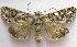  ( - BIOUG00851-A04)  @15 [ ] CreativeCommons - Attribution Non-Commercial No Derivatives (2011) Unspecified Unspecified