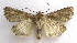  ( - BIOUG00851-A04)  @15 [ ] CreativeCommons - Attribution Non-Commercial No Derivatives (2011) Unspecified Unspecified