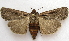  ( - BIOUG00851-A06)  @13 [ ] CreativeCommons - Attribution Non-Commercial No Derivatives (2011) Unspecified Unspecified