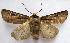  ( - BIOUG00851-C06)  @13 [ ] CreativeCommons - Attribution Non-Commercial No Derivatives (2011) Unspecified Unspecified