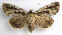  ( - BIOUG00851-C08)  @14 [ ] CreativeCommons - Attribution Non-Commercial No Derivatives (2011) Unspecified Unspecified