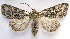  ( - BIOUG00851-E02)  @14 [ ] CreativeCommons - Attribution Non-Commercial No Derivatives (2011) Unspecified Unspecified
