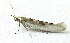  ( - BIOUG06714-C07)  @13 [ ] CreativeCommons - Attribution (2012) CBG Photography Group Centre for Biodiversity Genomics