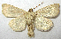  ( - BIOUG06722-E03)  @12 [ ] CreativeCommons - Attribution (2012) CBG Photography Group Centre for Biodiversity Genomics