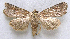  ( - BIOUG06722-E04)  @14 [ ] CreativeCommons - Attribution (2012) CBG Photography Group Centre for Biodiversity Genomics
