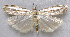  ( - BIOUG06722-F05)  @14 [ ] CreativeCommons - Attribution (2012) CBG Photography Group Centre for Biodiversity Genomics