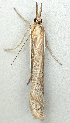  ( - BIOUG06722-F05)  @12 [ ] CreativeCommons - Attribution (2012) CBG Photography Group Centre for Biodiversity Genomics