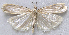  ( - BIOUG06722-F05)  @13 [ ] CreativeCommons - Attribution (2012) CBG Photography Group Centre for Biodiversity Genomics