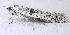  ( - BIOUG06722-G01)  @13 [ ] CreativeCommons - Attribution (2012) CBG Photography Group Centre for Biodiversity Genomics