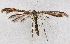  ( - BIOUG06722-G06)  @13 [ ] CreativeCommons - Attribution (2012) CBG Photography Group Centre for Biodiversity Genomics