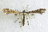  ( - BIOUG06722-G06)  @12 [ ] CreativeCommons - Attribution (2012) CBG Photography Group Centre for Biodiversity Genomics