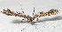  ( - BIOUG06722-G06)  @12 [ ] CreativeCommons - Attribution (2012) CBG Photography Group Centre for Biodiversity Genomics