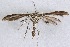  ( - BIOUG06722-G06)  @12 [ ] CreativeCommons - Attribution (2012) CBG Photography Group Centre for Biodiversity Genomics