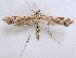  ( - BIOUG06722-G09)  @13 [ ] CreativeCommons - Attribution (2012) CBG Photography Group Centre for Biodiversity Genomics