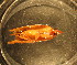  ( - B03JMZC15B)  @12 [ ] Unspecified (default): All Rights Reserved  Unspecified Unspecified