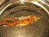  ( - C07JMZGL1B)  @12 [ ] Unspecified (default): All Rights Reserved  Unspecified Unspecified