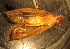  ( - C08JMZGL2B)  @12 [ ] Unspecified (default): All Rights Reserved  Unspecified Unspecified