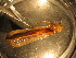  ( - C10JMZGL4B)  @12 [ ] Unspecified (default): All Rights Reserved  Unspecified Unspecified