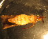  ( - C10JMZGL4B)  @12 [ ] Unspecified (default): All Rights Reserved  Unspecified Unspecified