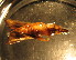  ( - C11JMZGL5B)  @12 [ ] Unspecified (default): All Rights Reserved  Unspecified Unspecified