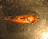  ( - C12JMZGL6B)  @12 [ ] Unspecified (default): All Rights Reserved  Unspecified Unspecified
