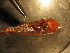  ( - E02JMZL11B)  @12 [ ] Unspecified (default): All Rights Reserved  Unspecified Unspecified