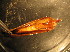  ( - E02JMZL11B)  @12 [ ] Unspecified (default): All Rights Reserved  Unspecified Unspecified