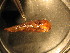  ( - E04JMZL13B)  @12 [ ] Unspecified (default): All Rights Reserved  Unspecified Unspecified