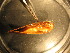  ( - E04JMZL13B)  @12 [ ] Unspecified (default): All Rights Reserved  Unspecified Unspecified