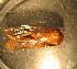  ( - E05JMZL14B)  @12 [ ] Unspecified (default): All Rights Reserved  Unspecified Unspecified