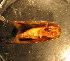  ( - E05JMZL14B)  @12 [ ] Unspecified (default): All Rights Reserved  Unspecified Unspecified
