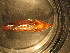  ( - E07JMZL16B)  @12 [ ] Unspecified (default): All Rights Reserved  Unspecified Unspecified