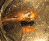  ( - E08JMZL17B)  @12 [ ] Unspecified (default): All Rights Reserved  Unspecified Unspecified
