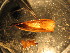  ( - E08JMZL17B)  @12 [ ] Unspecified (default): All Rights Reserved  Unspecified Unspecified