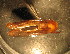  ( - E09JMZL18B)  @12 [ ] Unspecified (default): All Rights Reserved  Unspecified Unspecified