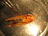  ( - E09JMZL18B)  @12 [ ] Unspecified (default): All Rights Reserved  Unspecified Unspecified