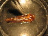  ( - E10JMZL19B)  @12 [ ] Unspecified (default): All Rights Reserved  Unspecified Unspecified