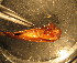  ( - E10JMZL19B)  @12 [ ] Unspecified (default): All Rights Reserved  Unspecified Unspecified