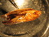  ( - D06JMZL3B)  @12 [ ] Unspecified (default): All Rights Reserved  Unspecified Unspecified