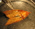  ( - D07JMZL4B)  @12 [ ] Unspecified (default): All Rights Reserved  Unspecified Unspecified