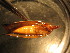  ( - D10JMZL7B)  @12 [ ] Unspecified (default): All Rights Reserved  Unspecified Unspecified