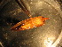  ( - D11JMZL8B)  @12 [ ] Unspecified (default): All Rights Reserved  Unspecified Unspecified
