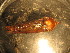  ( - D12JMZL9B)  @12 [ ] Unspecified (default): All Rights Reserved  Unspecified Unspecified