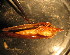  ( - D12JMZL9B)  @12 [ ] Unspecified (default): All Rights Reserved  Unspecified Unspecified