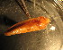  ( - D01JMZU1B)  @12 [ ] Unspecified (default): All Rights Reserved  Unspecified Unspecified